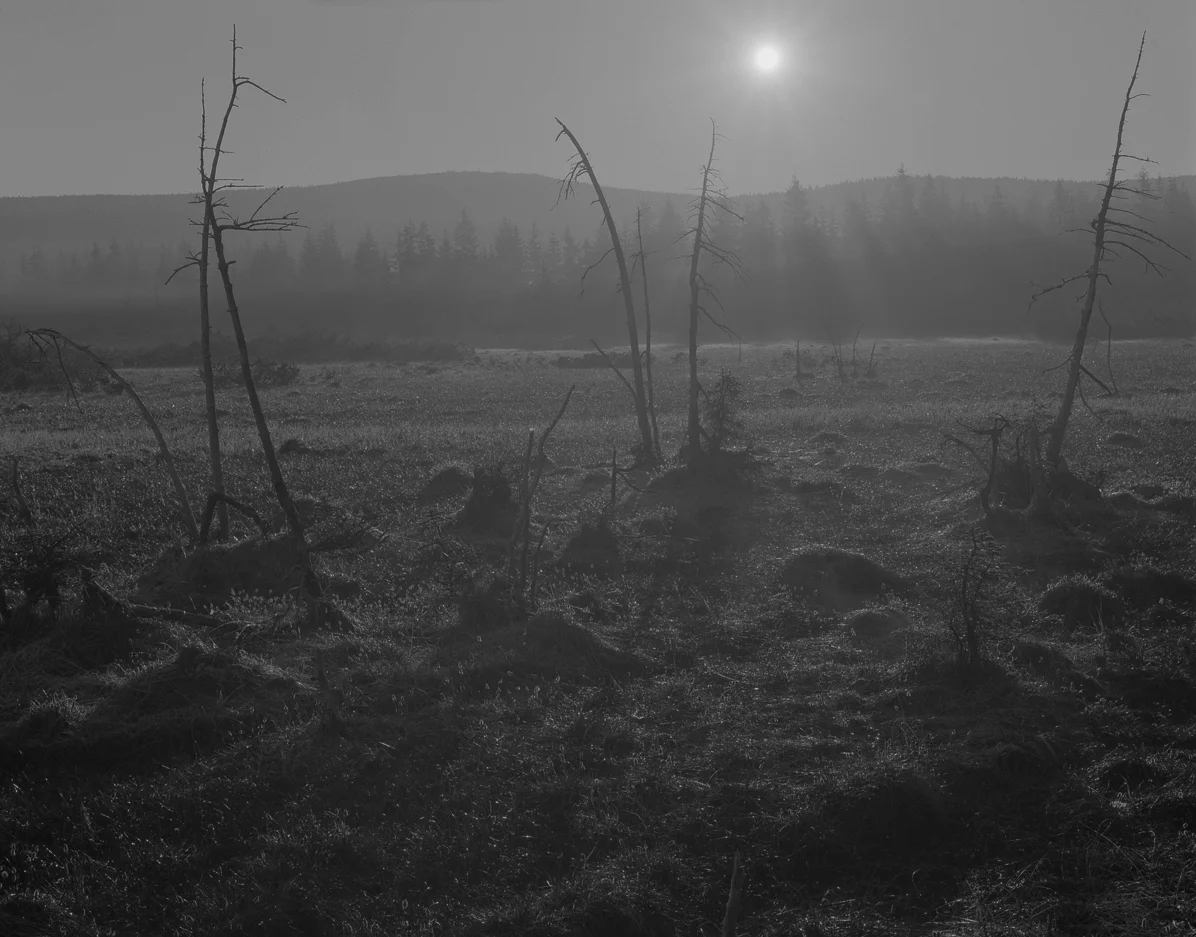 Ekwiwalent, ekwiwalentność, Krajobraz, Linhof Super Technika V, Nikkor-SW 90/f8, Ilford FP4+
