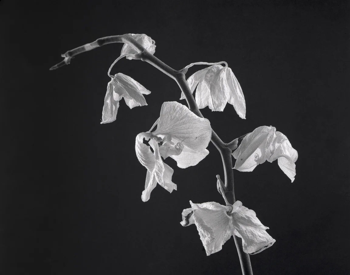 Fotografia ekspresyjna, abstrakt