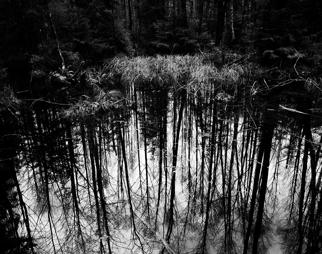 Ilford FP4plus oraz Ilford Multigrade FB Classic