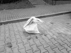 Mijane codziennie, Passing by Daily
