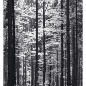 Plakat Niepejzaże Izery